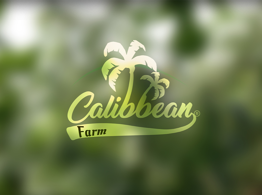 calibbeanfarm